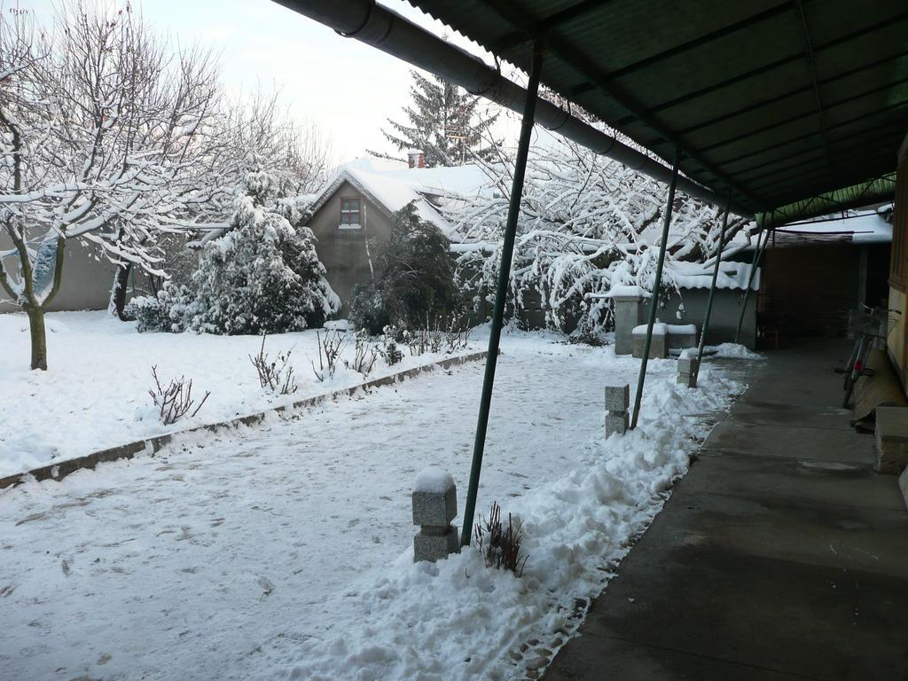 Guest House Tisza Haz Senta Exteriör bild