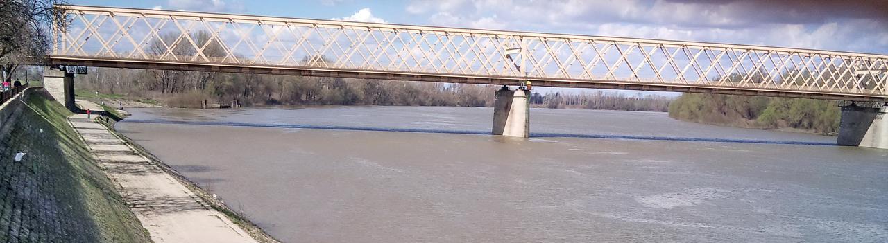 Guest House Tisza Haz Senta Rum bild